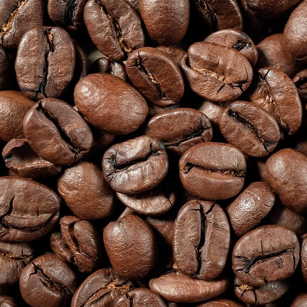 Robusta